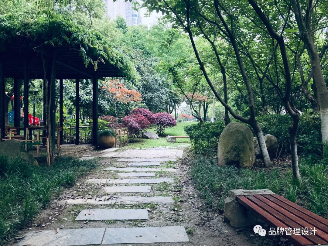 1683612041880358.jpg q4.jpg