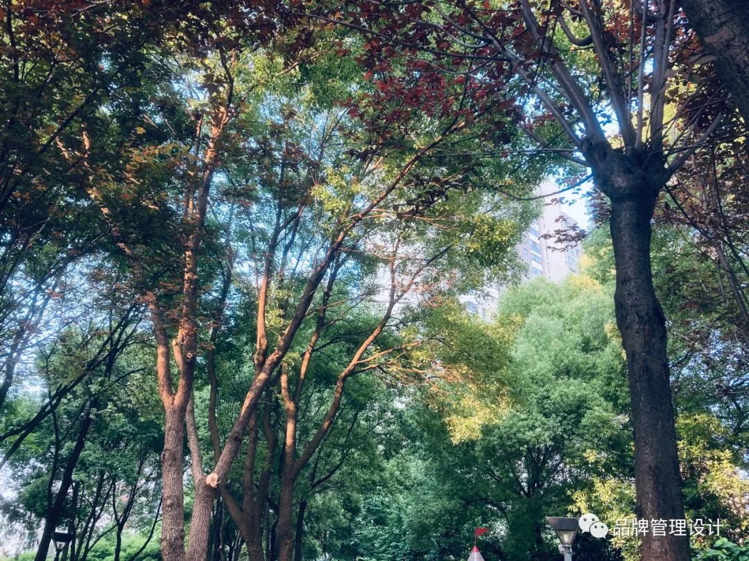 1685417353500897.jpg 2.jpg