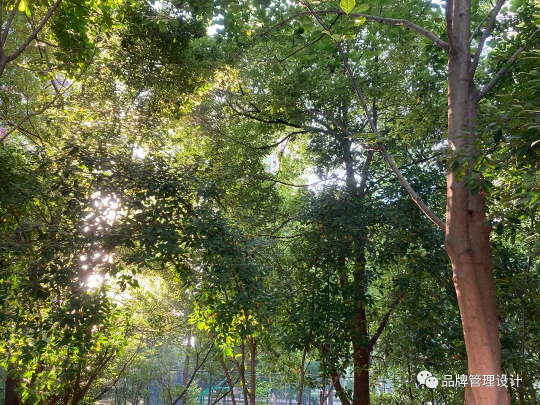 1690783159581922.jpg 011.jpg