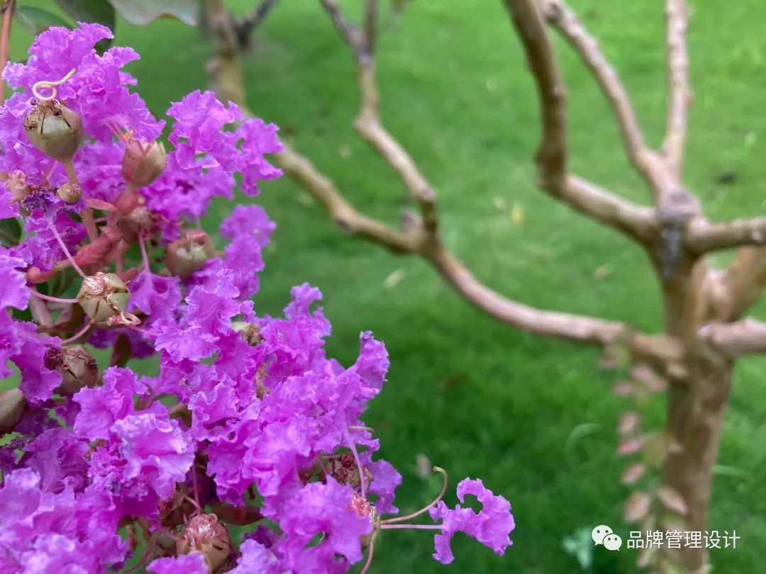 1690783203418451.jpg 014.jpg